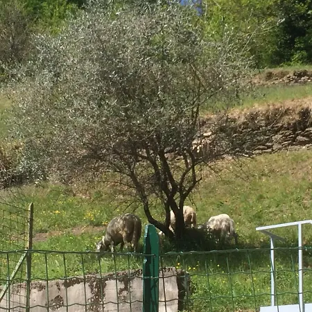 Apartamento Casa Il Melo